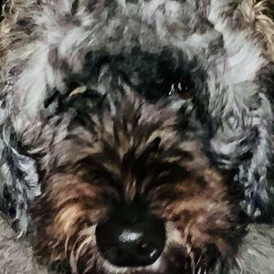 Meet your Posher, Gaspard